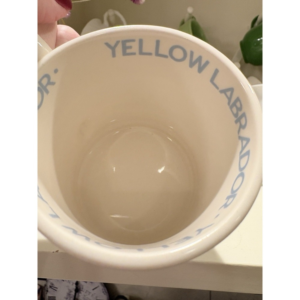 Emma Bridgewater Supporting Help For Heroes Yellow Labrador Coffee Mug Half Pint - Picture 14 of 16